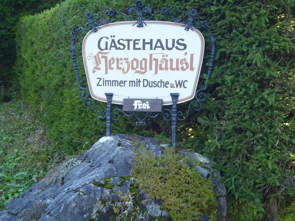 Pension Herzoghaeusel Bischofswiesen Exterior photo